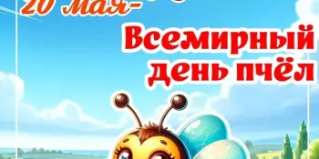Всемирный день пчел.