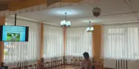 Как воспитывать любовь к природе, если дома нет растений и животных